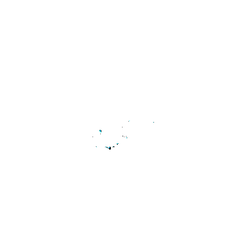 slideshow